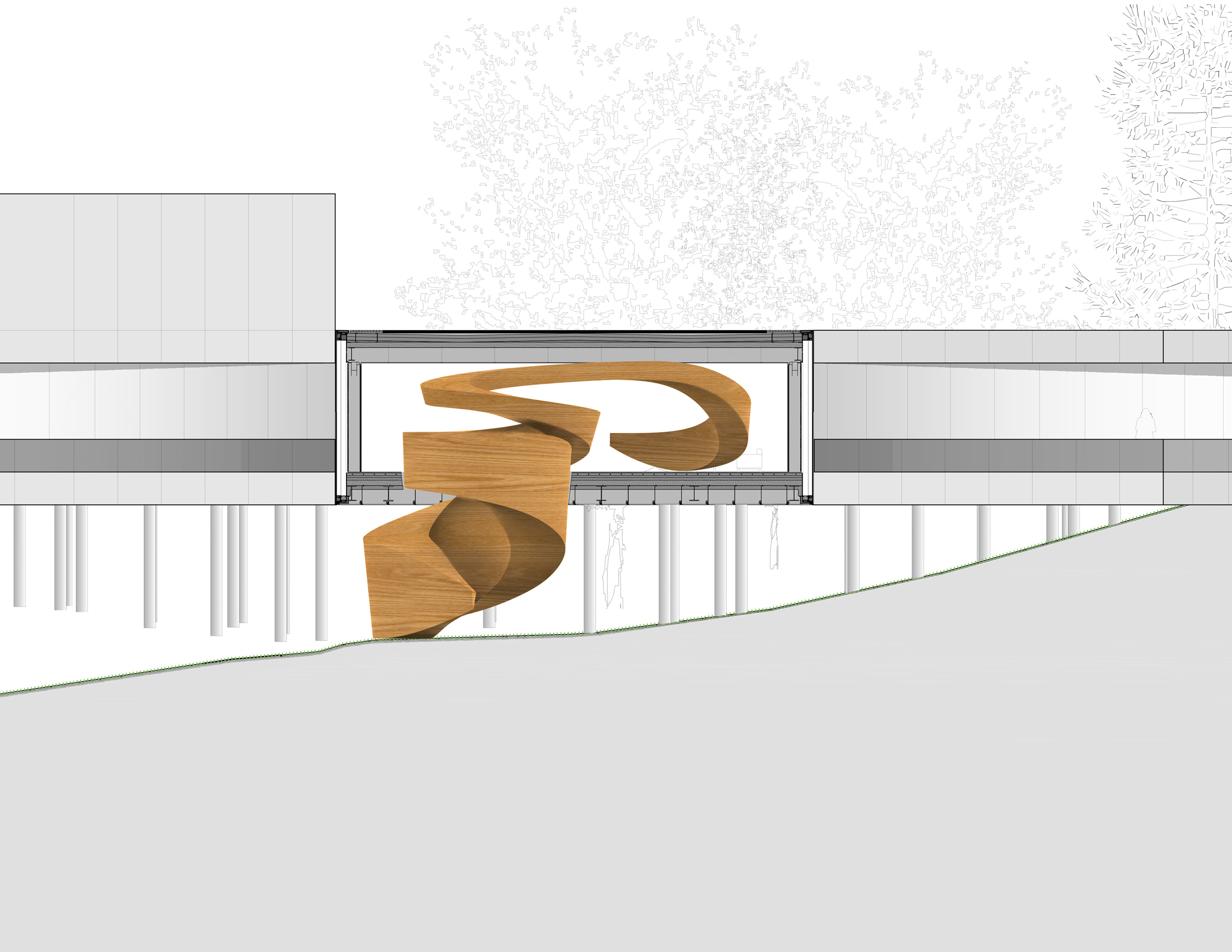 A section showing the Necklace Residence sculptural stair.